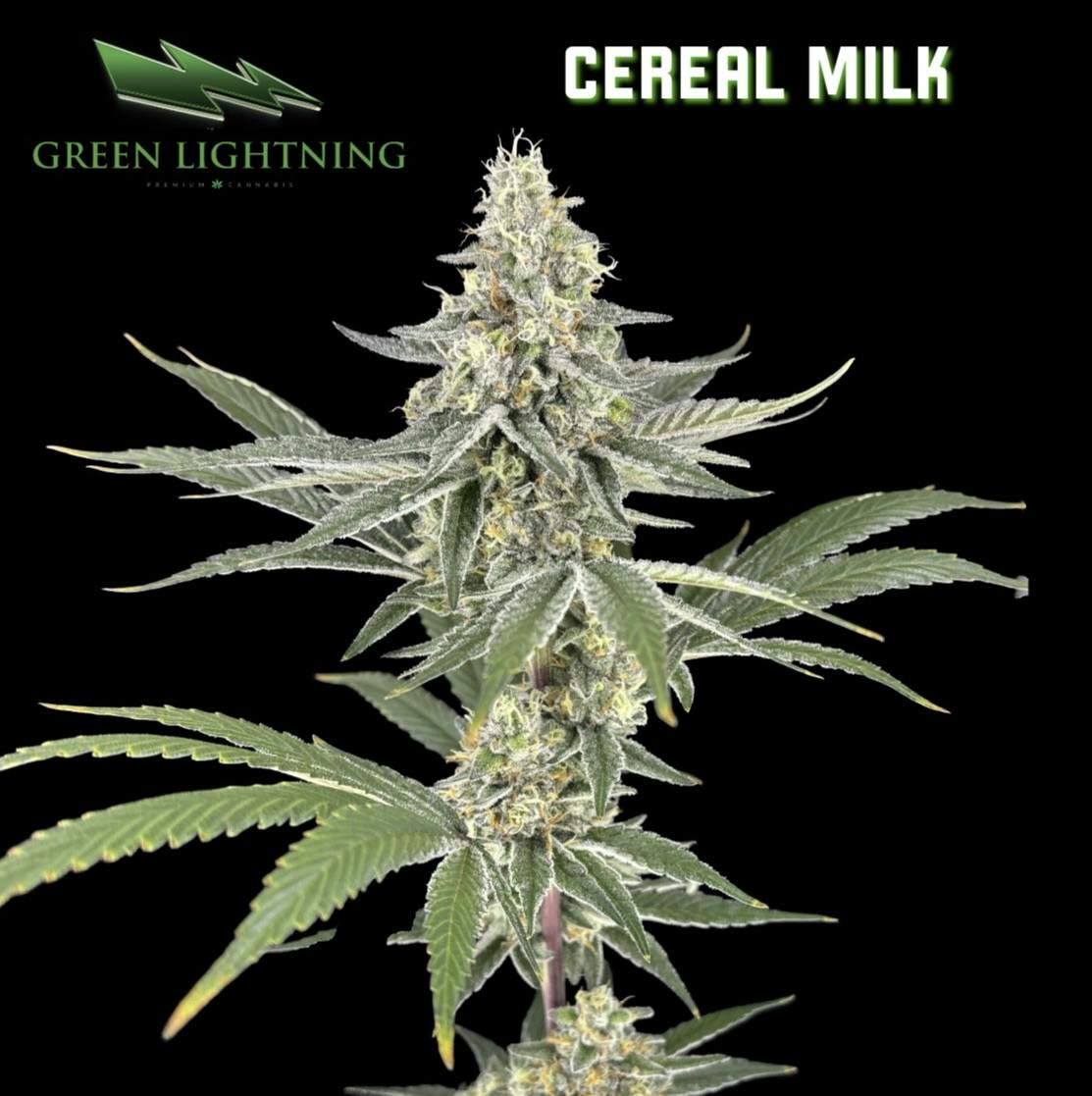 Cereal Milk Mixed
