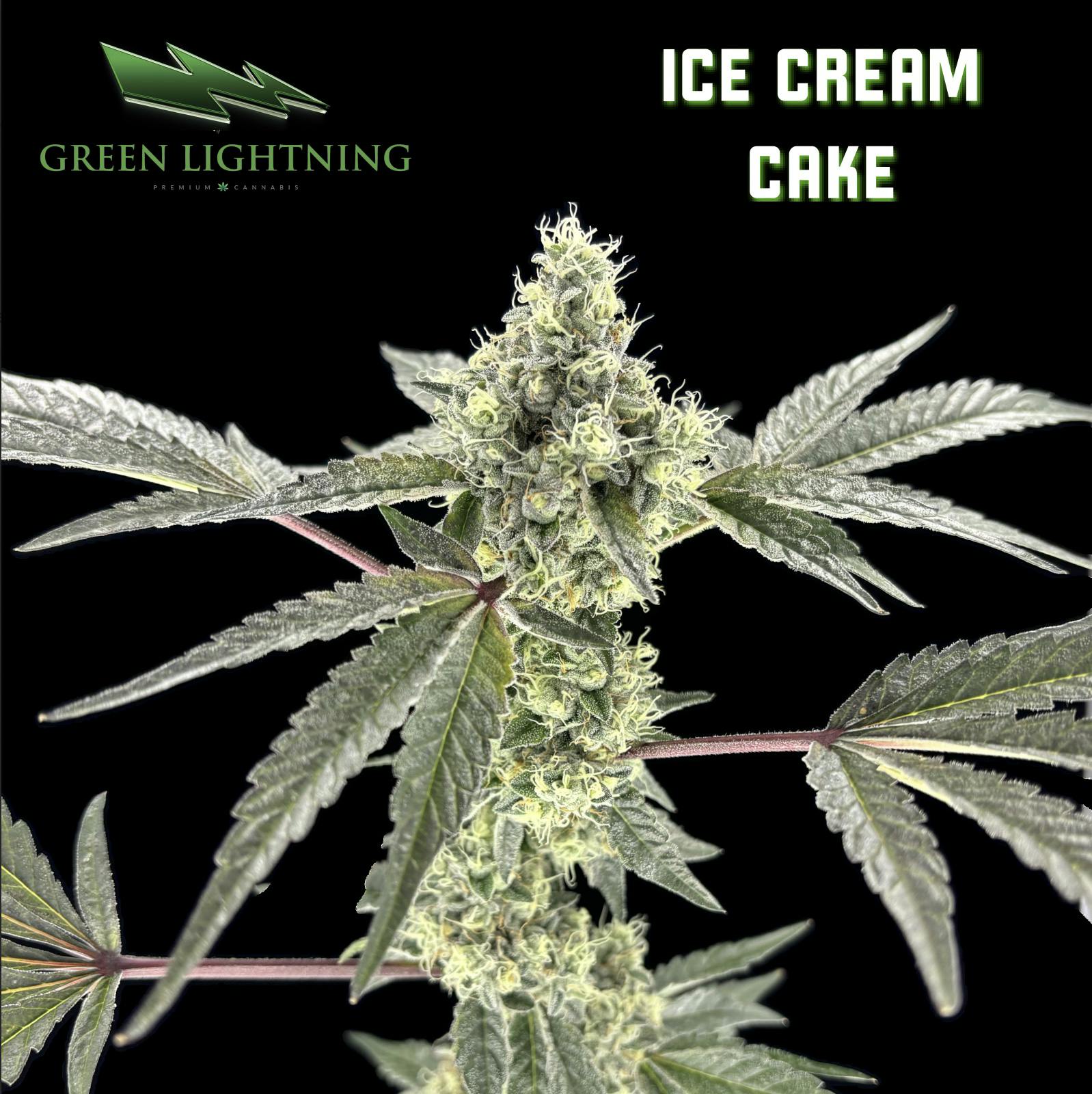 Ice Cream Cake #1