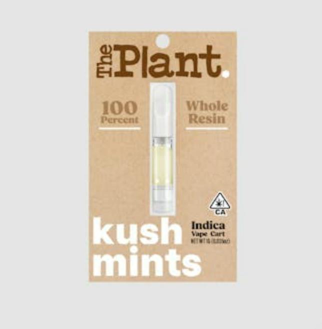 The Plant: Kush Mints