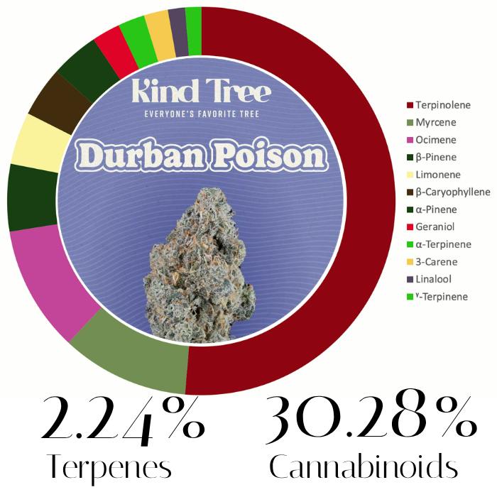 Durban Poison