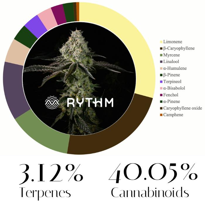 Afternoon Delight #4 by Rythm | Flower | 28.0g - 1oz in Hoboken