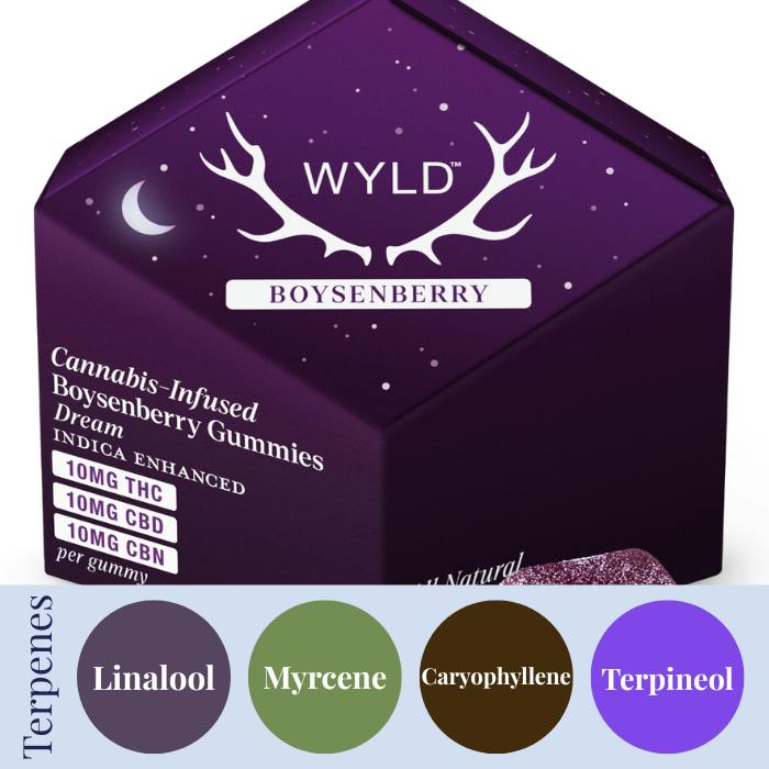 Boysenberry x 10