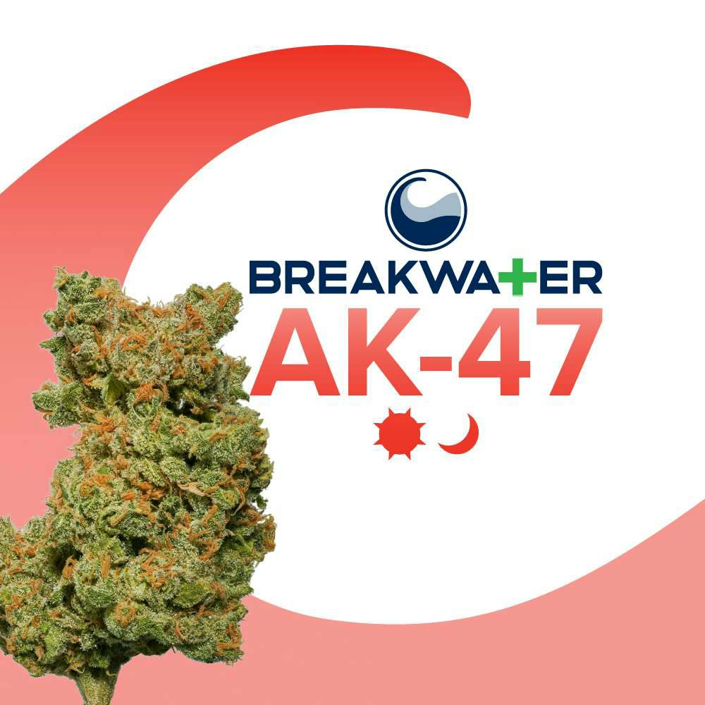 Ak 47