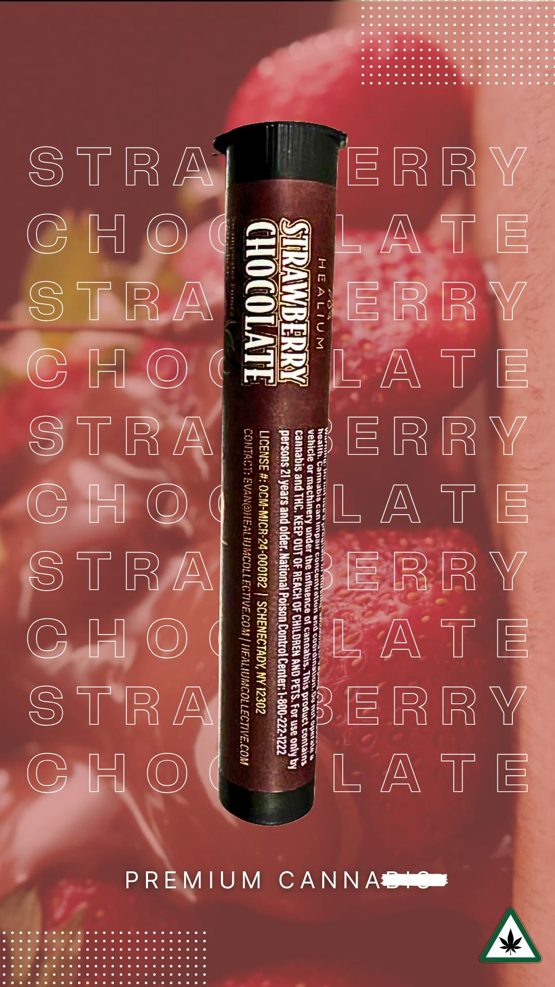 Strawberry Chocolate