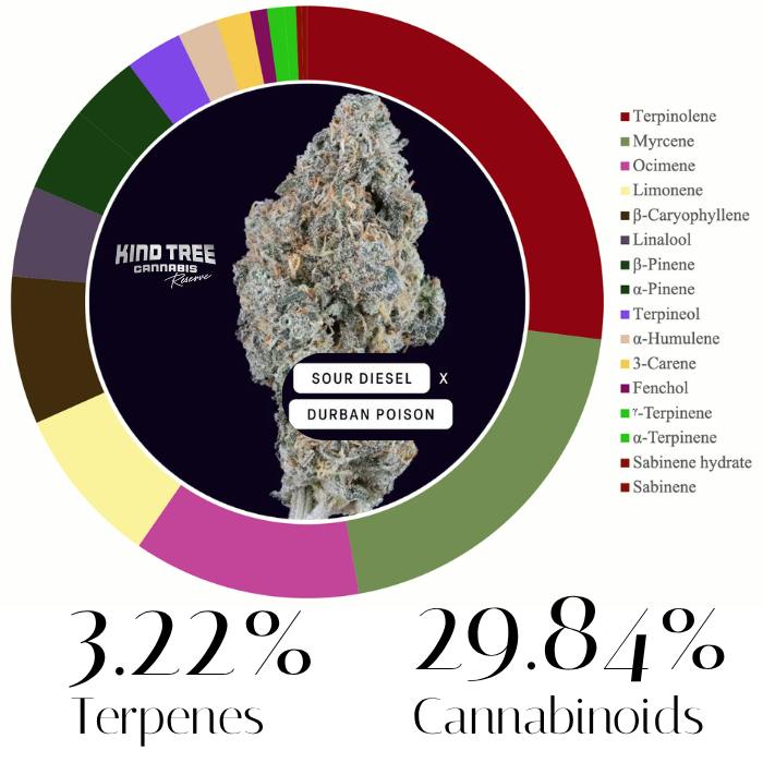 Sour Diesel x Durban Poison