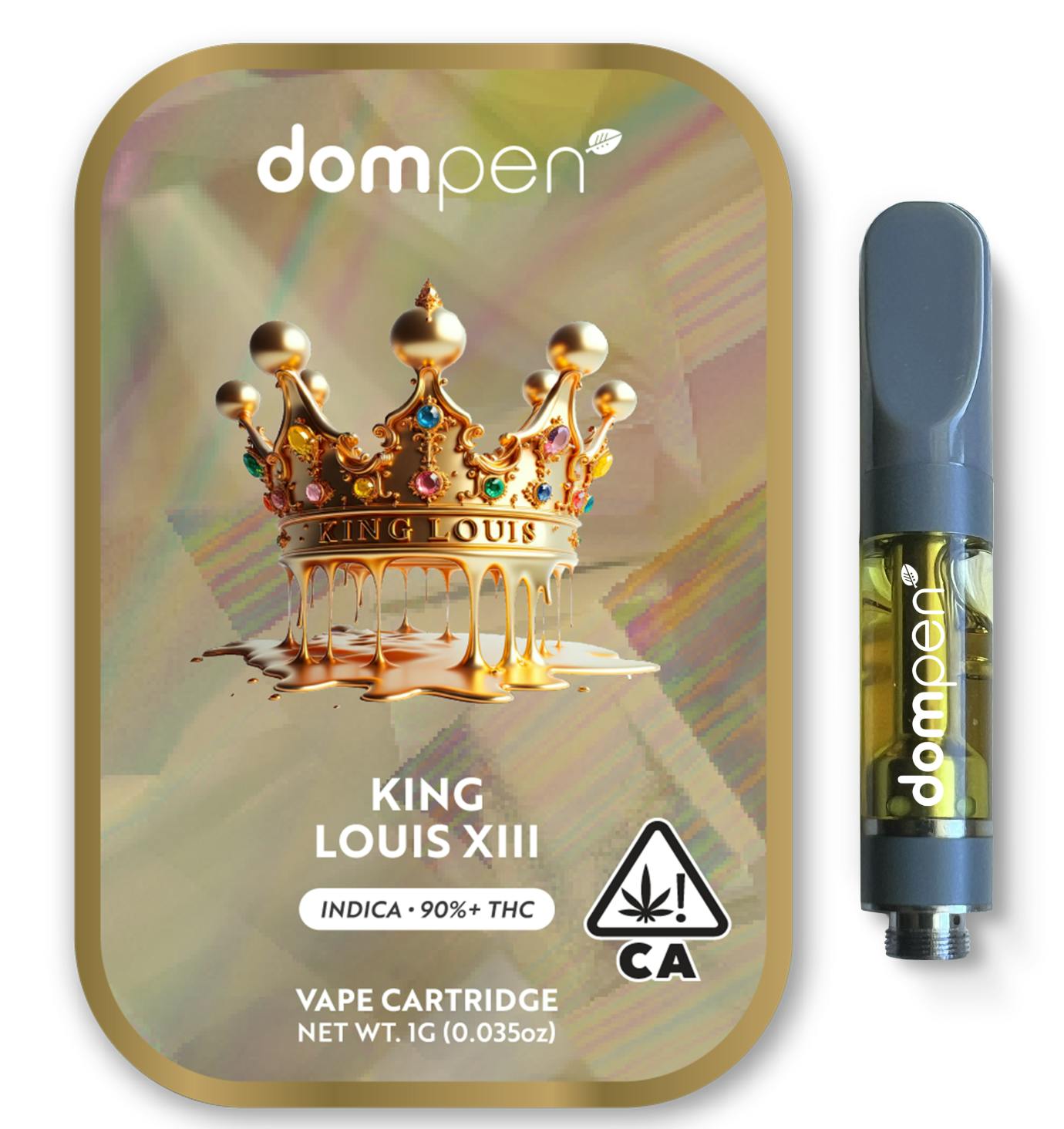 dompen: King Louis Xiii