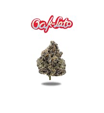 Oak Lato