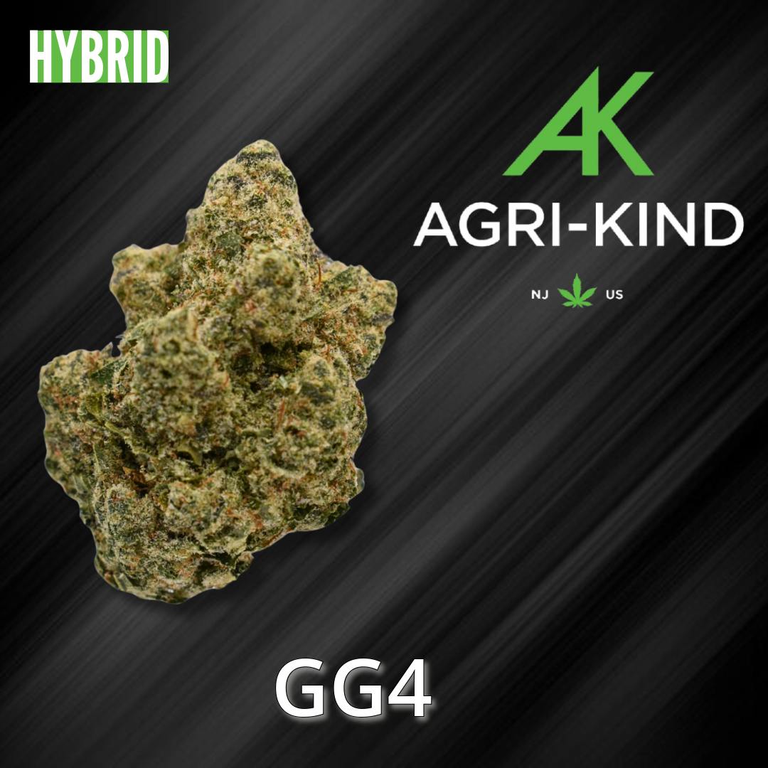 Gg4