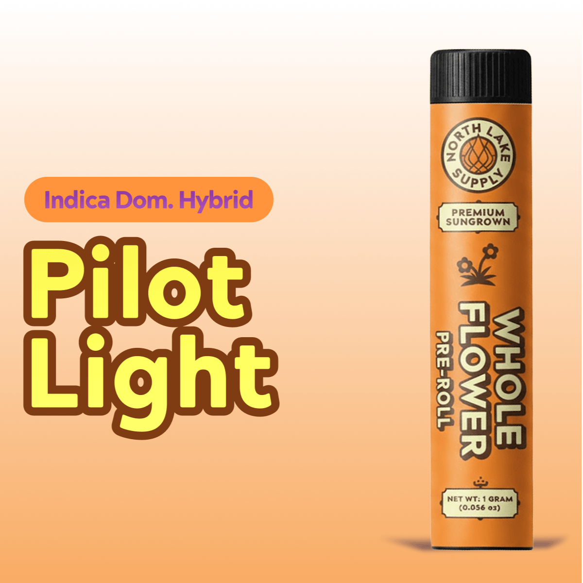 Light 20