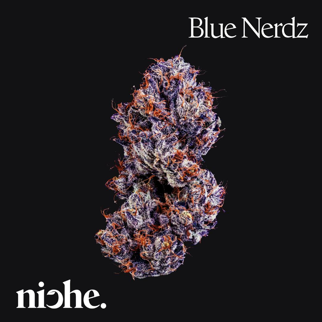 Blue Nerdz
