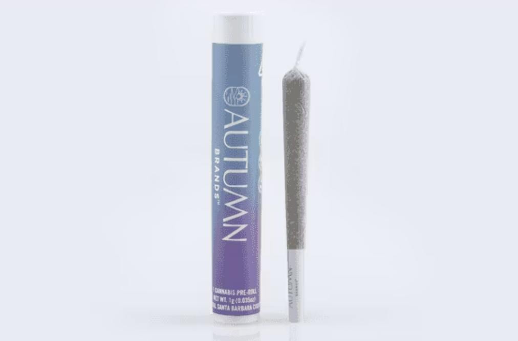 Autumn Brands: Purple Carbonite