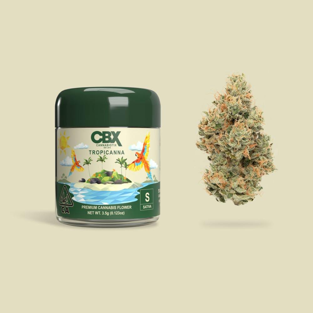 Tropicanna