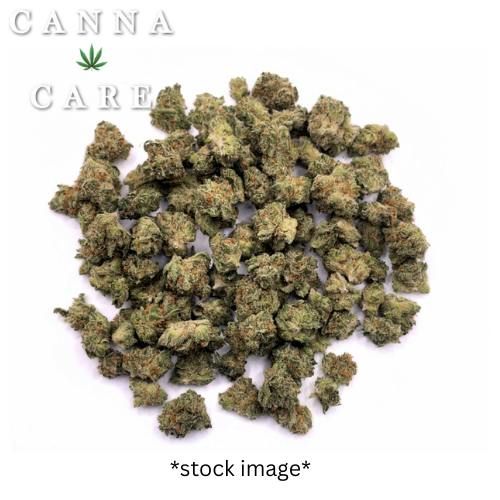 Red Dawn Chronic