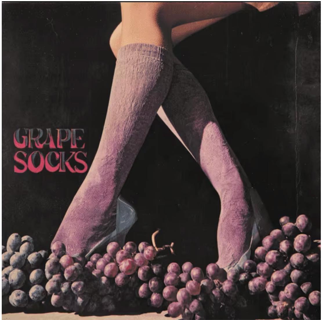Green Dragon: Grape Socks