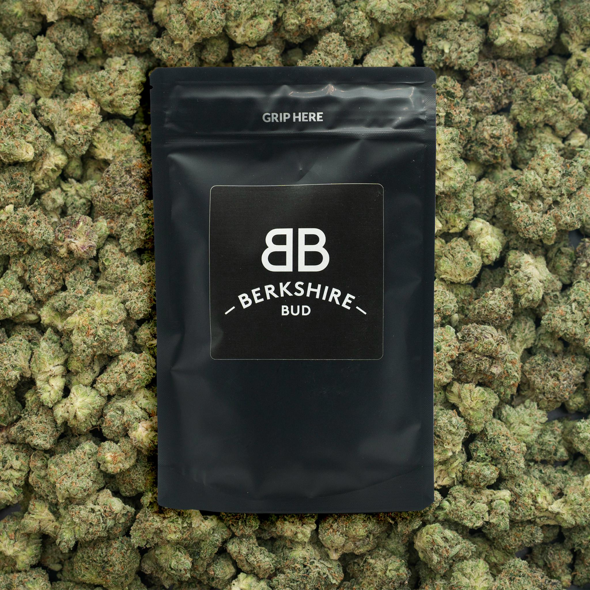 Gush Mints | Whole Bud | 28g - 28g in Sheffield