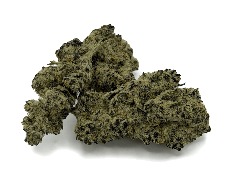 28 Flower | Animal Bernie 28g - 28g in Wood River