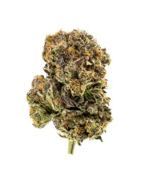 Gelato Cake | Spotlight | 3.5g - 3.5g in Sheffield
