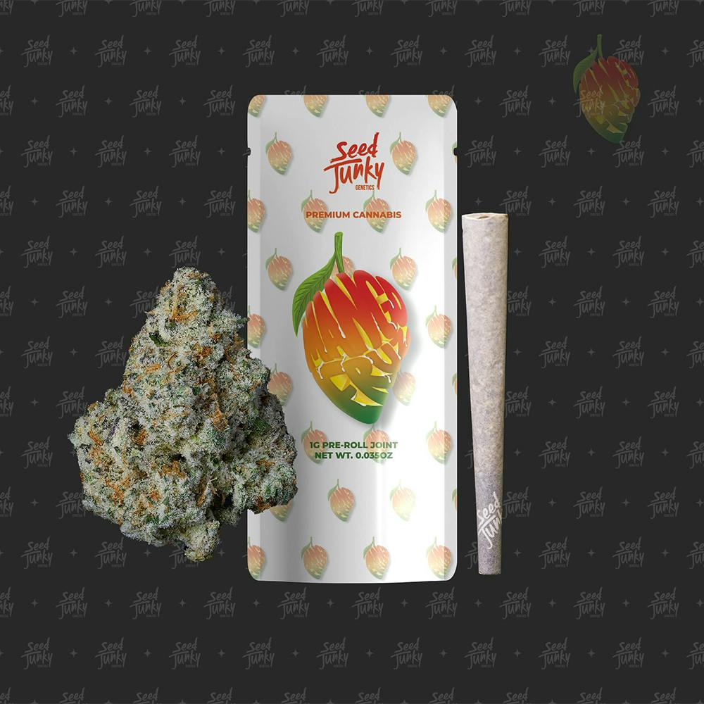 Mango Fruz