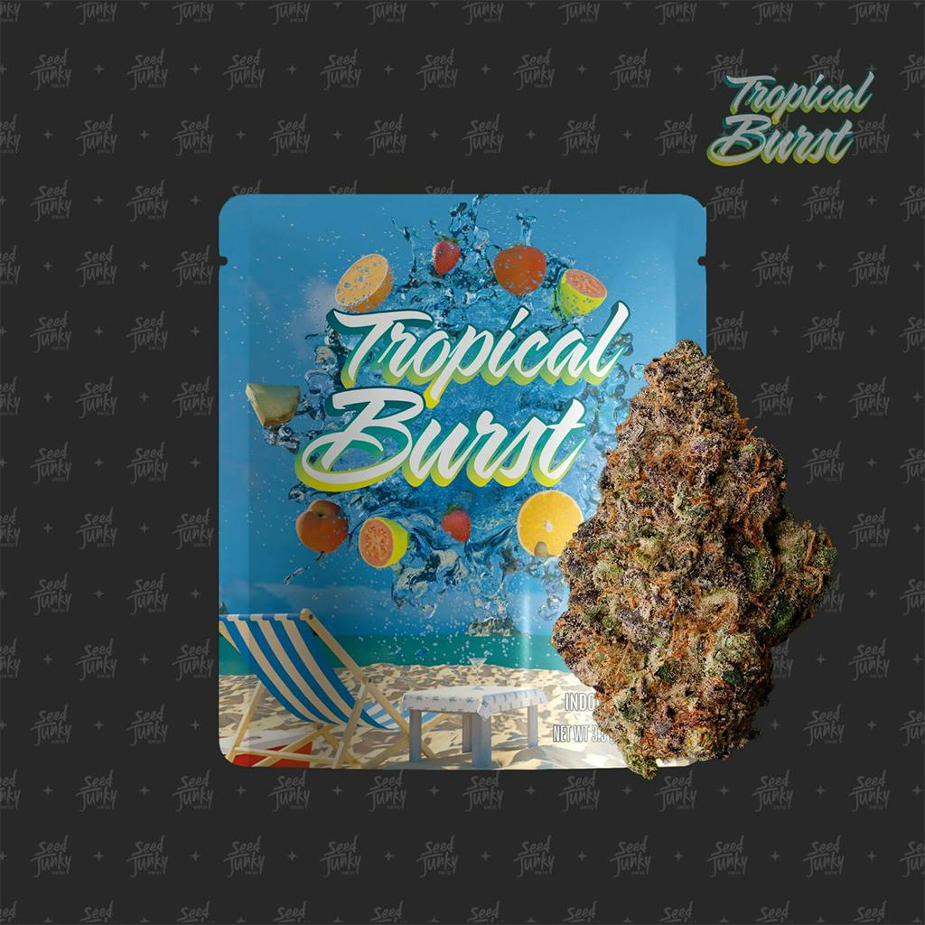 Tropical Burst