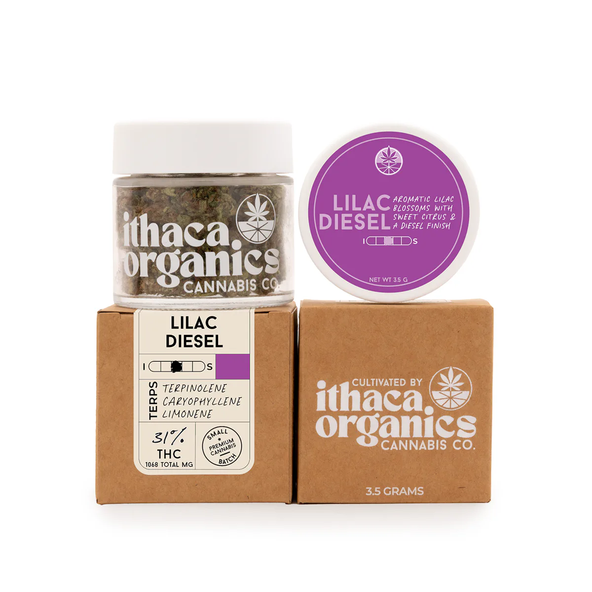 Ithaca Organics | Flower | 3.5g | Lilac Diesel