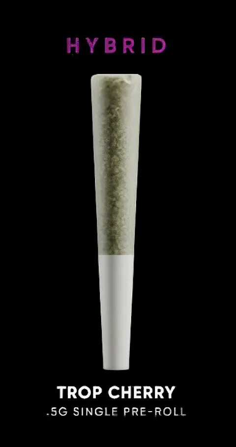 Trop Cherry Dogwalker Preroll