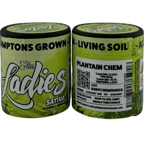 Plantain Chem
