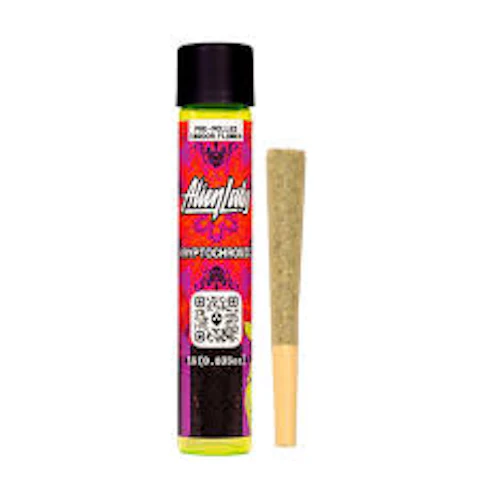 Krypto Chronic
