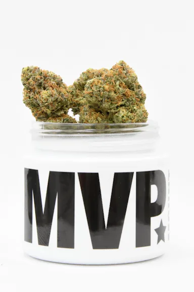 MVP | Flower | 3.5g | Giraffee Puzzy No. 2