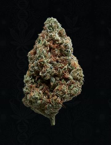 Royal Genetics | Clementine | Flower | Sativa| 3.5g