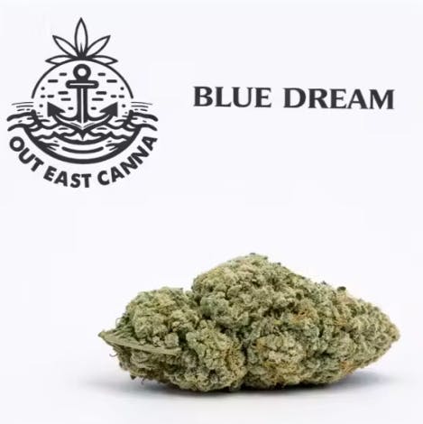 Suspect | Blue Dream | Flower | SATHYB | 14g