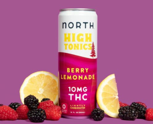 BERRY LEMONADE SELTZER | 10MG PER | 4PK