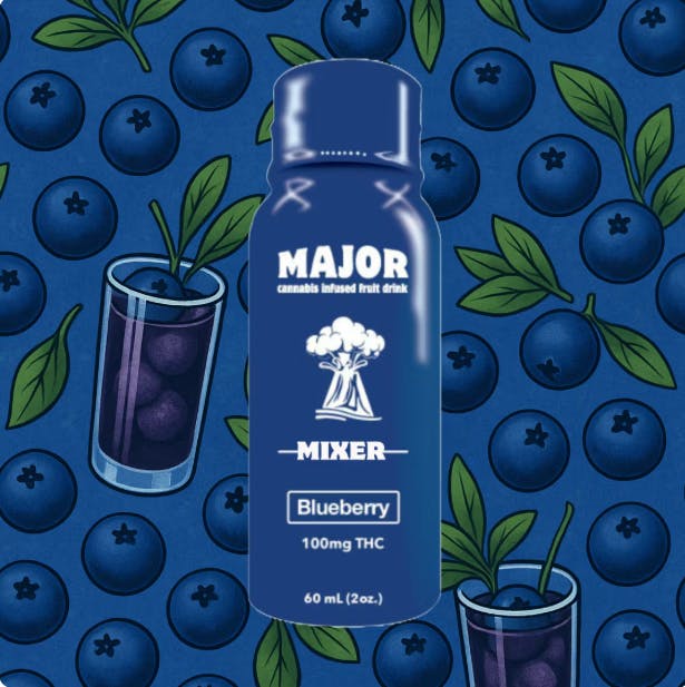 BLUEBERRY | 100MG | FAST ACTING SHOT | DRINK MIXER