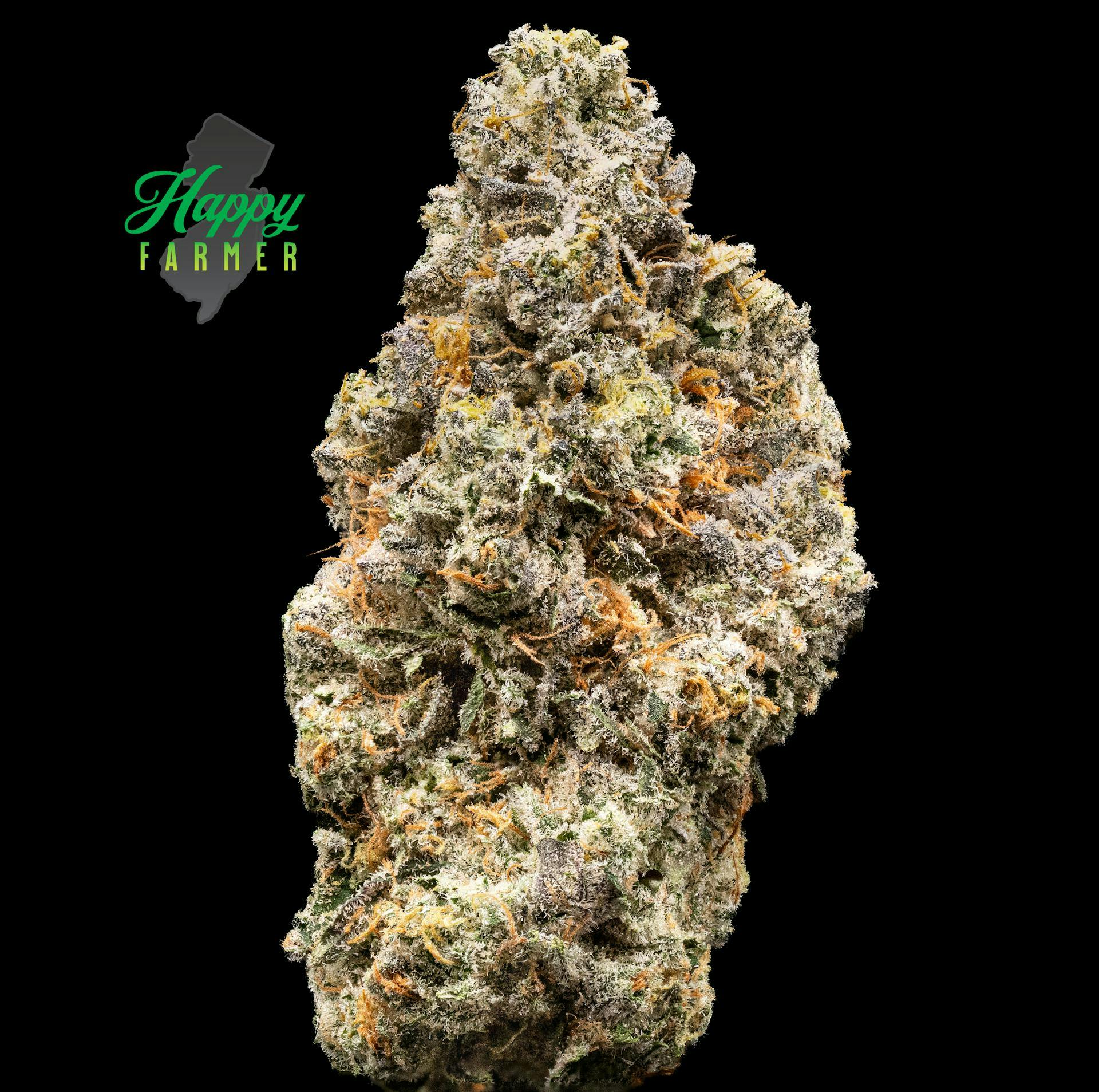 ON POINT | 3. FLOWER