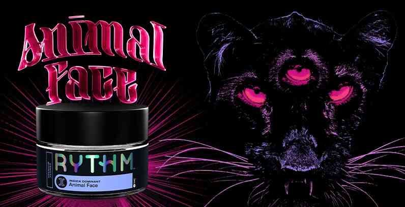 ANIMAL FACE | 3. FLOWER