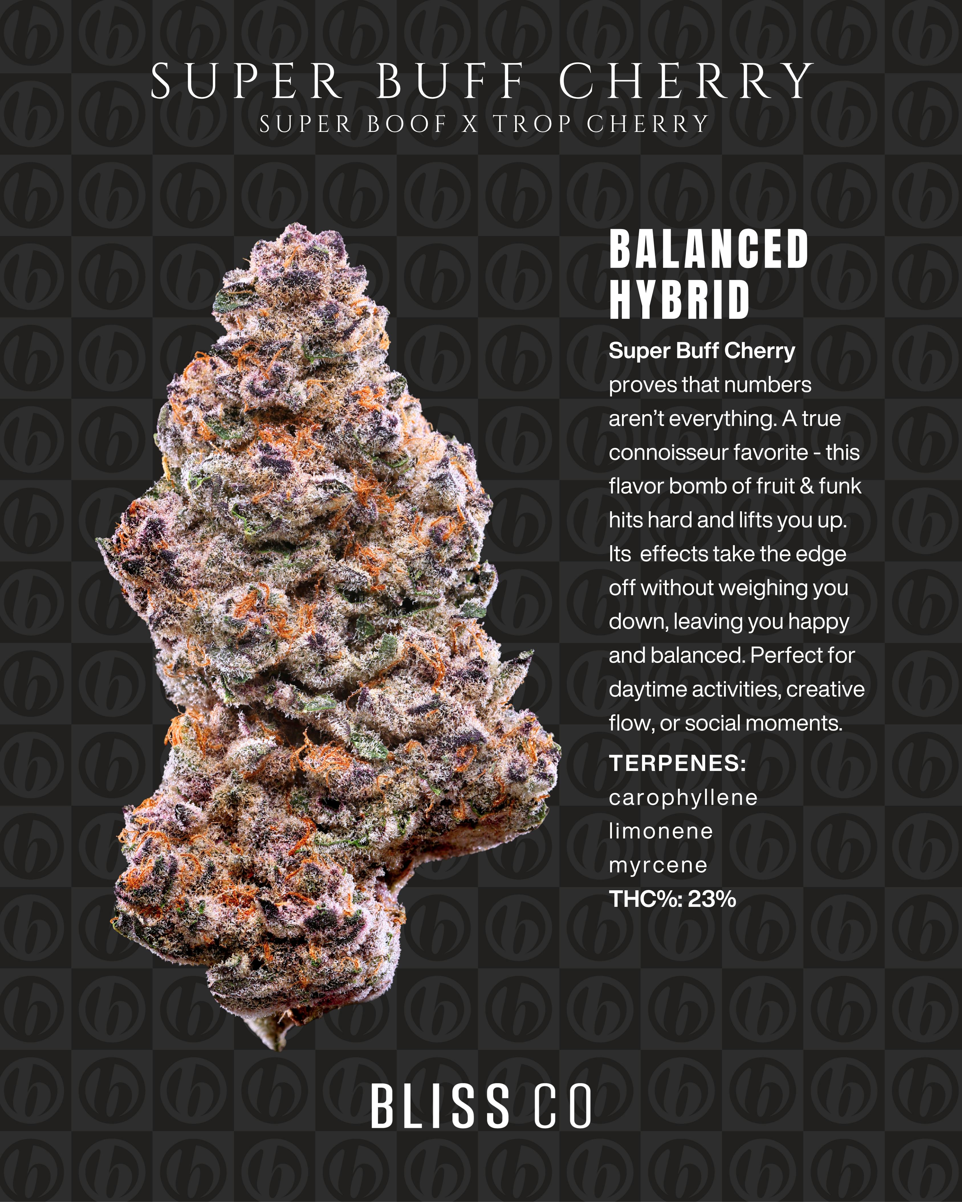 SUPER BUFF CHERRY | 3. FLOWER