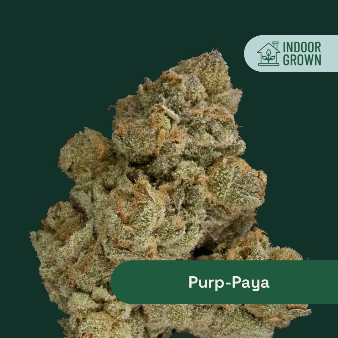 PURP PAYA | 3. FLOWER