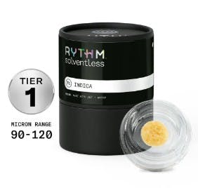 BLACK MAPLE #22  LIVE ROSIN