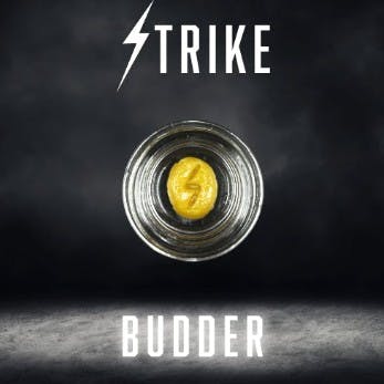 BLUEBERRY  LIVE BUDDER