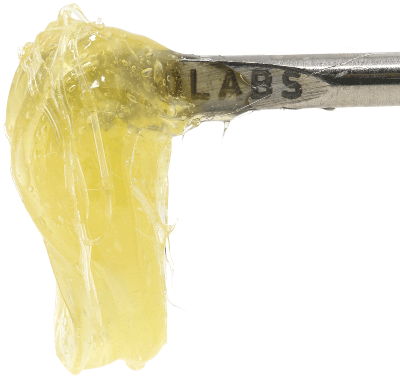 Mad Honey #42 | 1g Persy Rosin