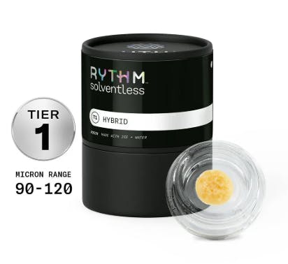 GOGURTZ | TIER 1 | SOLVENTLESS LIVE ROSIN