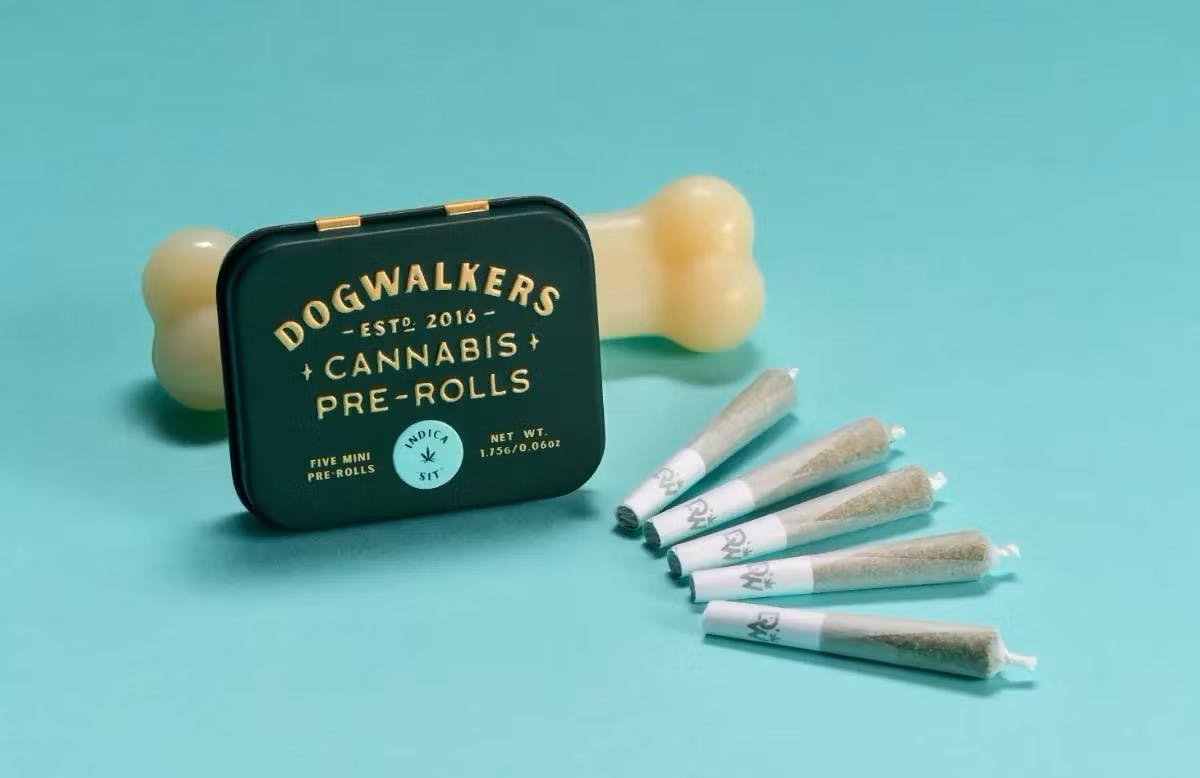 Animal Scout #10 | 5pk/.35G PREROLLS