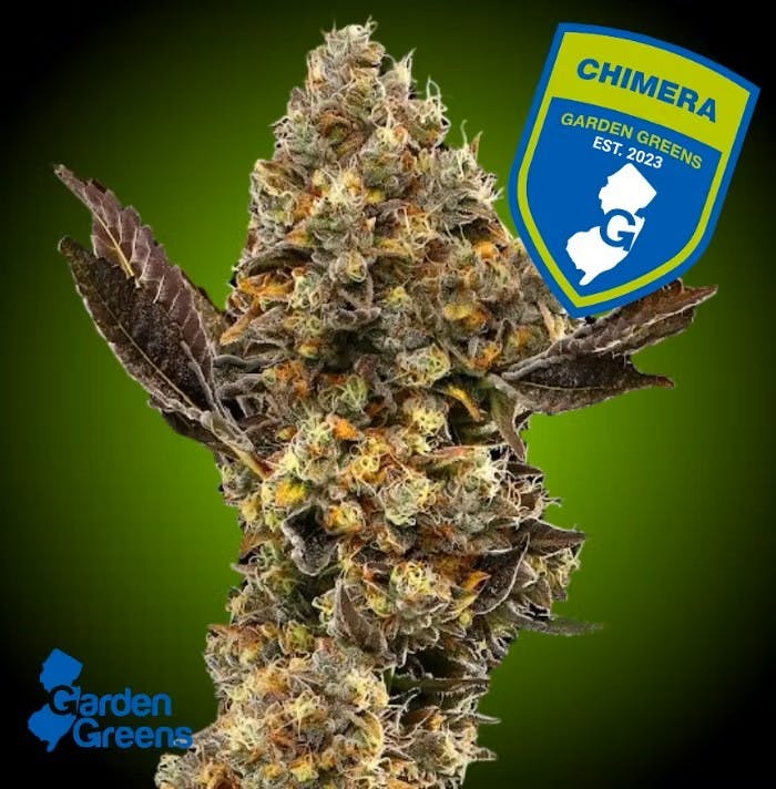 CHIMERA | 3.5G FLOWER