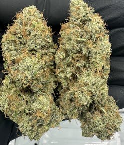 Lead Farmer | Skunk#1 x NL5 | Infused Preroll | Hybrid | 1g