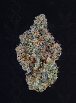 Royal Genetics | Cake Mix | Pre-roll | Hybrid | 1g