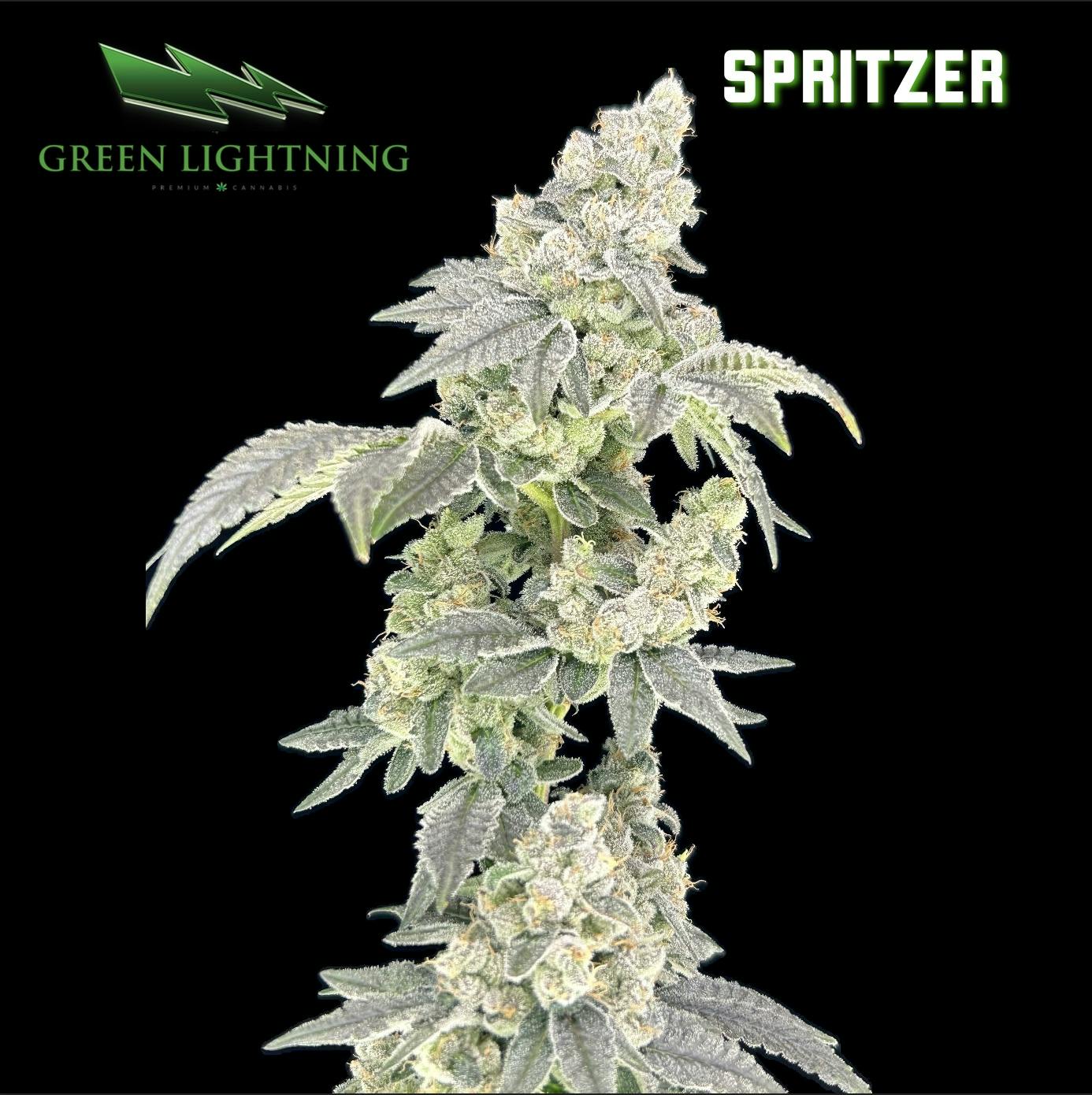 Green Lightning Spritzer Flower 28G