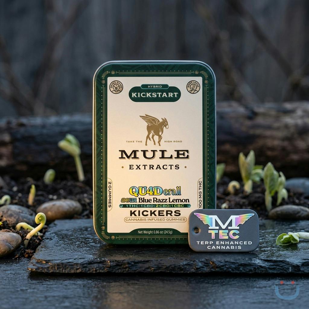 Mule Sour Blue Razz Lemon 1:1:2:1 THC:CBD:CBG:CBC Edible 2 Pack