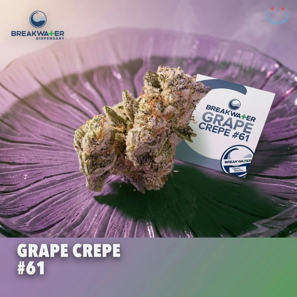 Breakwater Grape Crepe #61 Flower 3.5G