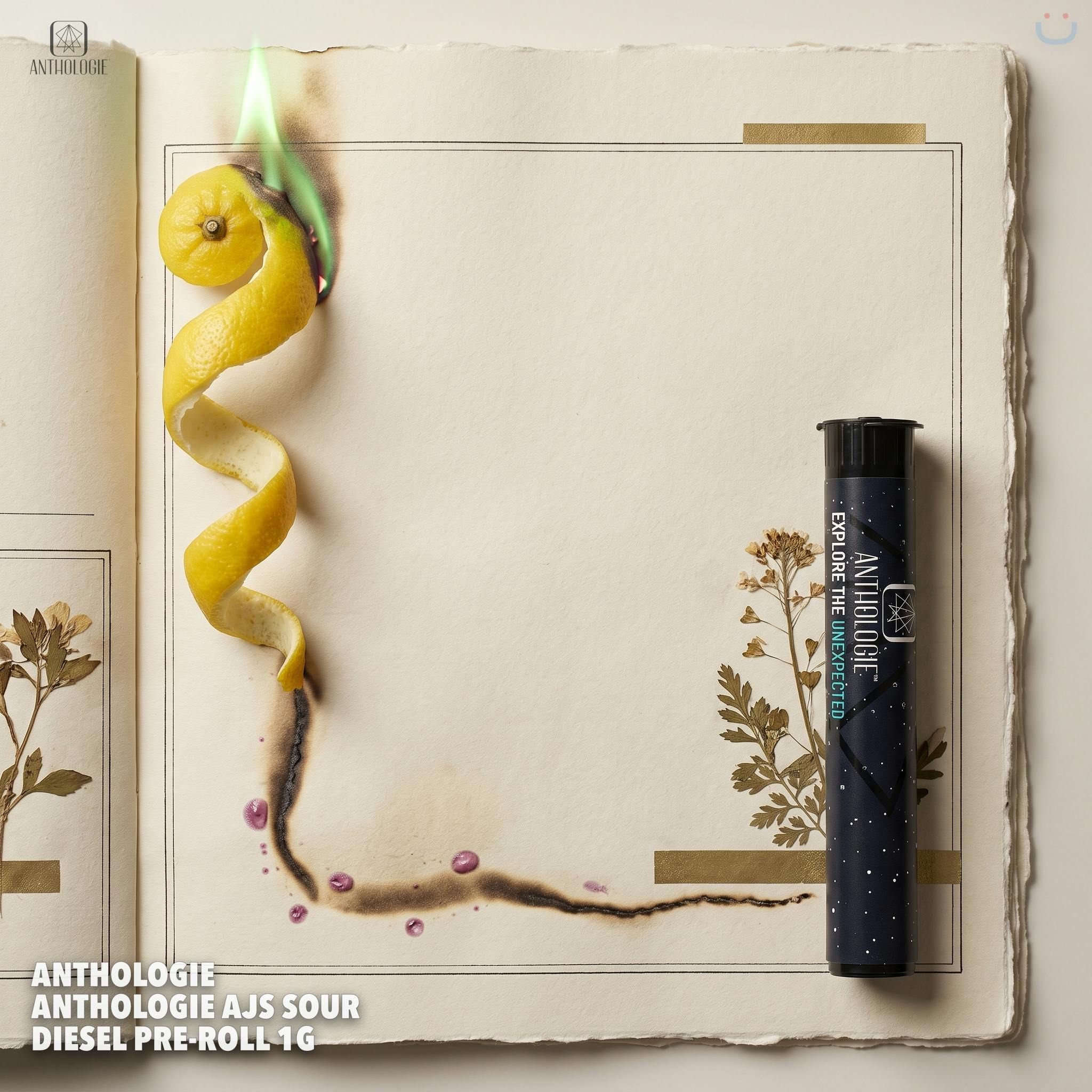 Anthologie Anthologie AJs Sour Diesel Pre-roll 1G