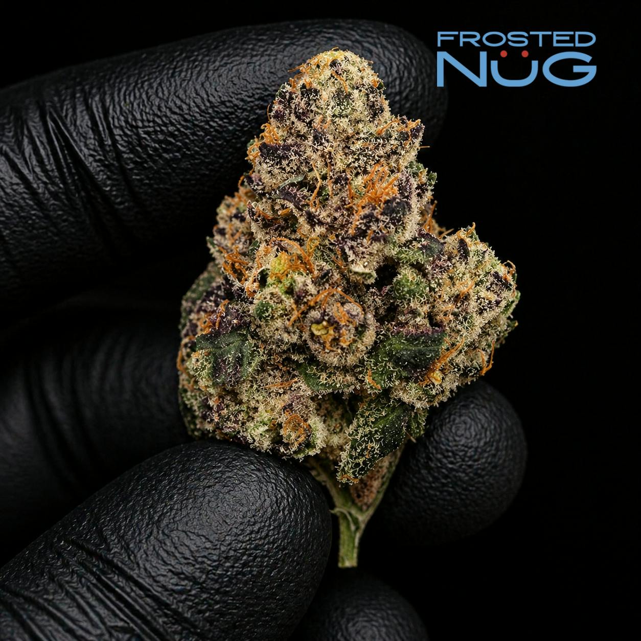 Cookies Small Batch Sticky Buns X Gelato Flower 3.5G