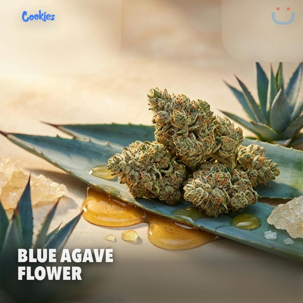 Cookies Blue Agave Flower 7G